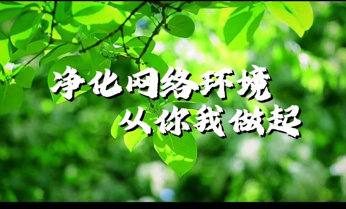 凈化網(wǎng)絡環(huán)境 從你我做起